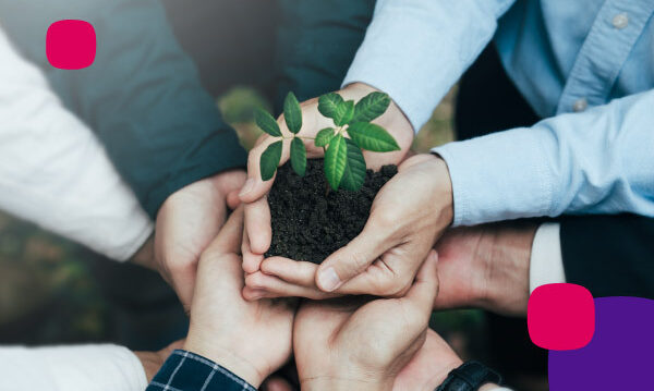 ¿Cuáles son las ventajas de optar por fuentes de energía renovables en tu empresa?