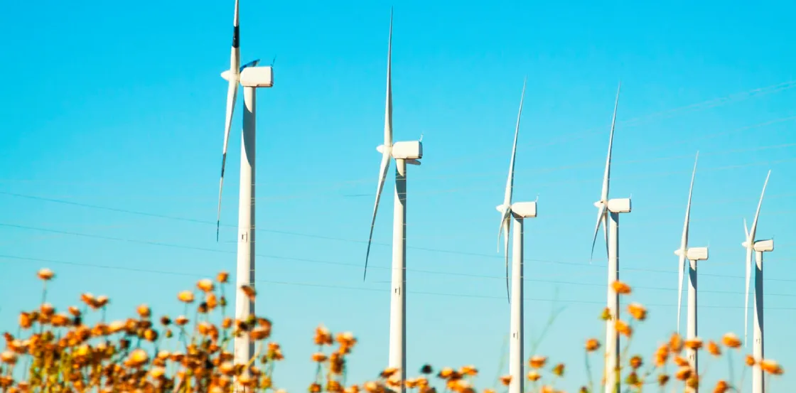 Mejores fuentes de energía limpia para empresas y negocios: molinos de viento en un campo