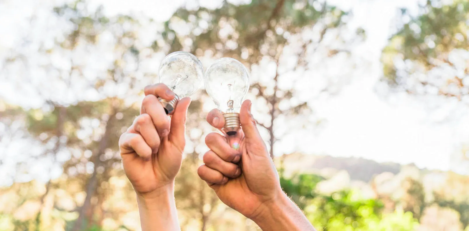 La sostenibilidad y medioambiente en la tarifa de la luz de tu empresa: dos manos sujetando dos bombillas con la naturaleza y árboles de fondo