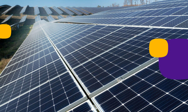 Tipos de paneles solares y sus diferencias: campo con varias placas solares