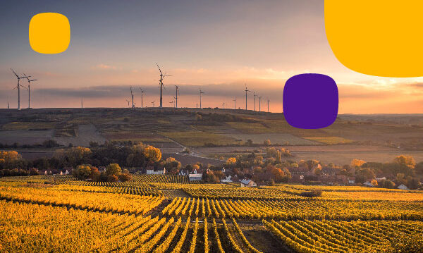 empresas energías renovables
