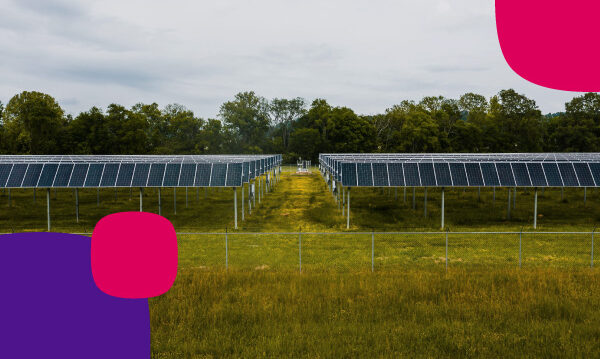 energía innovación y desarrollo fotovoltaico